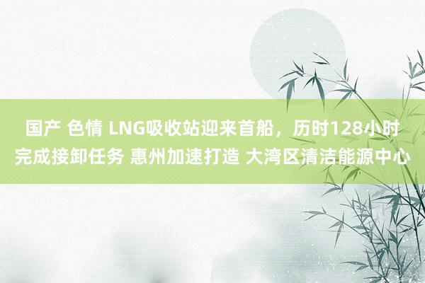 国产 色情 LNG吸收站迎来首船，历时128小时完成接卸任务 惠州加速打造 大湾区清洁能源中心