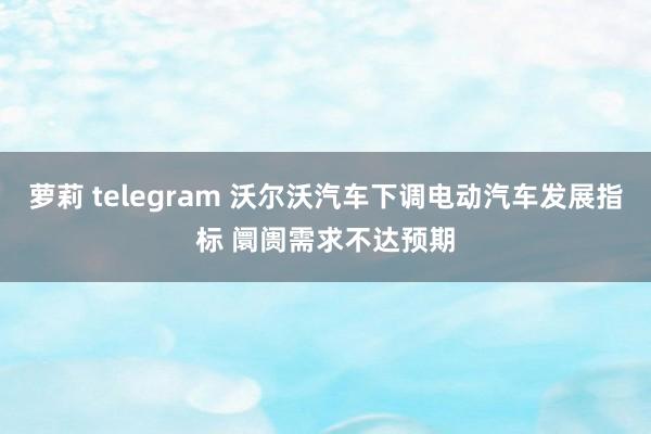 萝莉 telegram 沃尔沃汽车下调电动汽车发展指标 阛阓需求不达预期