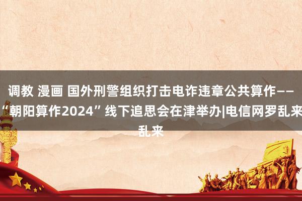 调教 漫画 国外刑警组织打击电诈违章公共算作——“朝阳算作2024”线下追思会在津举办|电信网罗乱来