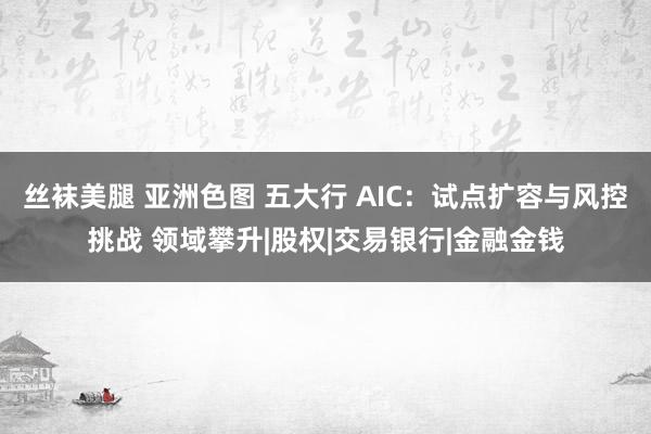 丝袜美腿 亚洲色图 五大行 AIC：试点扩容与风控挑战 领域攀升|股权|交易银行|金融金钱