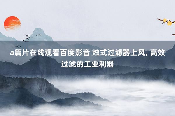 a篇片在线观看百度影音 烛式过滤器上风， 高效过滤的工业利器